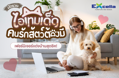6 ไอเทมเด็ดเฟอร์นิเจอร์แต่งบ้านที่คนรักสัตว์ต้องมี